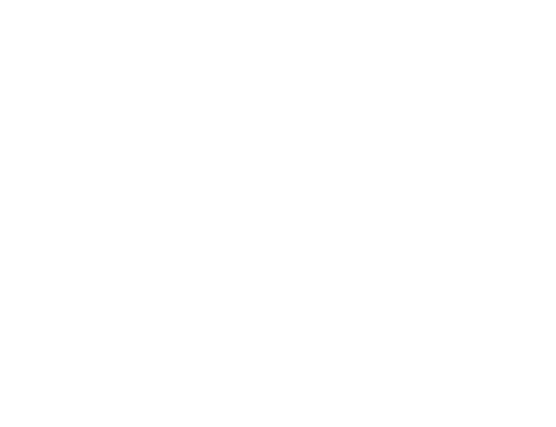 City of Mineral Point